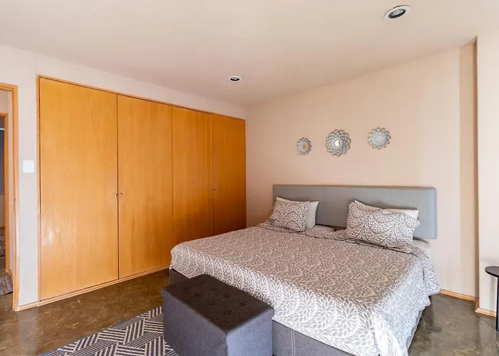 Polanco Flat - Laundry- Parking-elevator-sleeps 10 *
